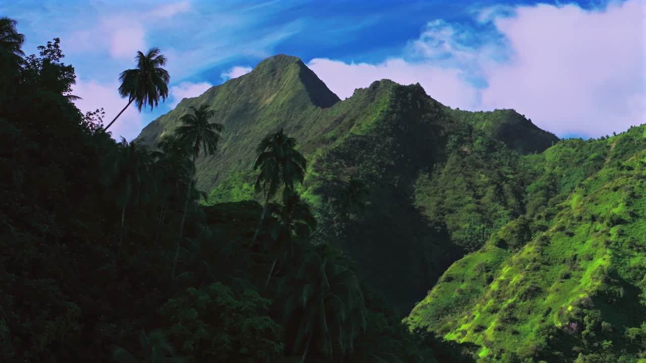 Mountain valley parallax palm coconut trees Teahupoo Tahiti aerial drone French Polynesia South Pacific island bright afternoon sunny green lush blue sky clouds WSL surfing Olympic venue right motion
