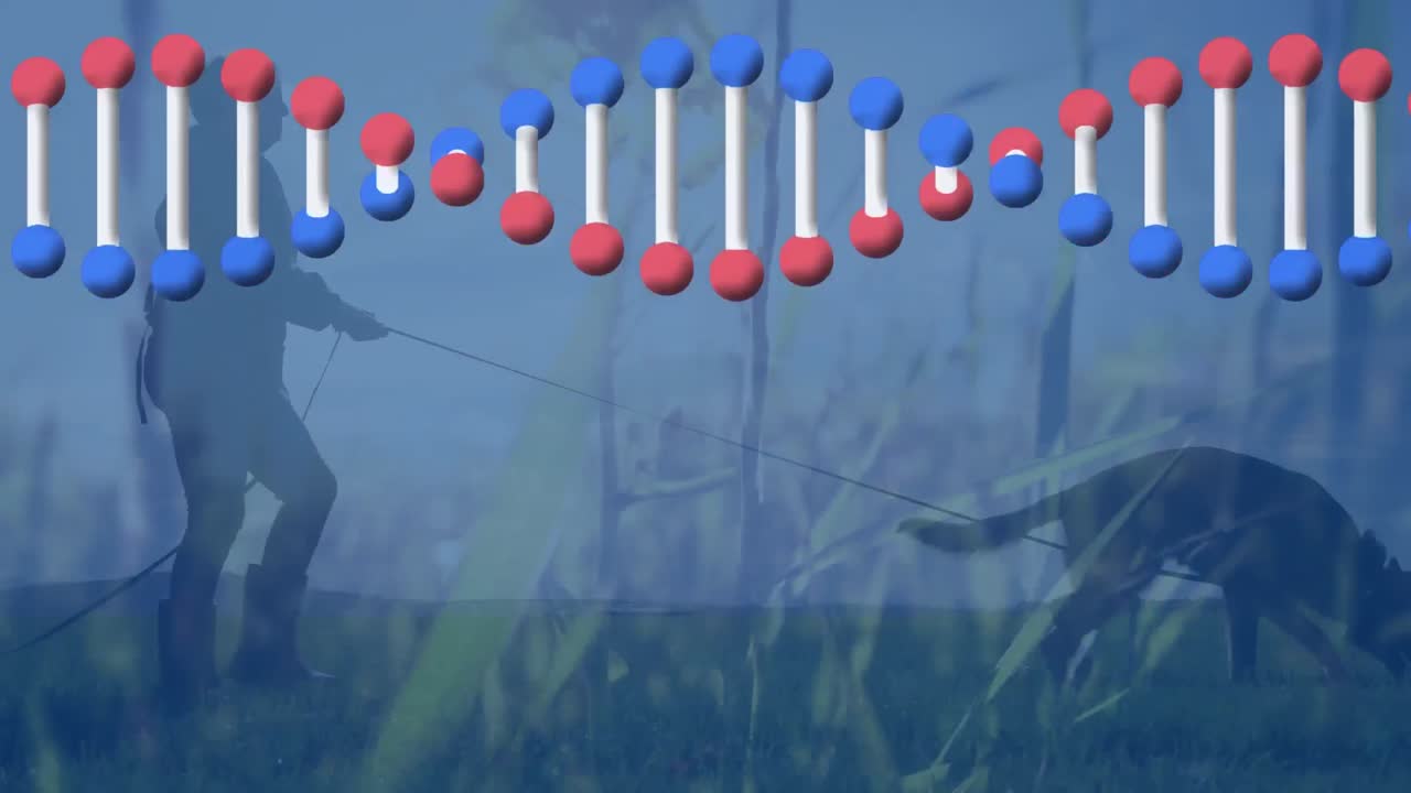 풍경에서 개를 가진 여자 위에 회전하는 dna 가닥의 애니메이션