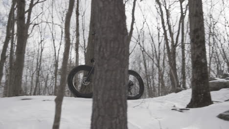 fatbike cyclist in the snowy forest - mountain biking in the winter