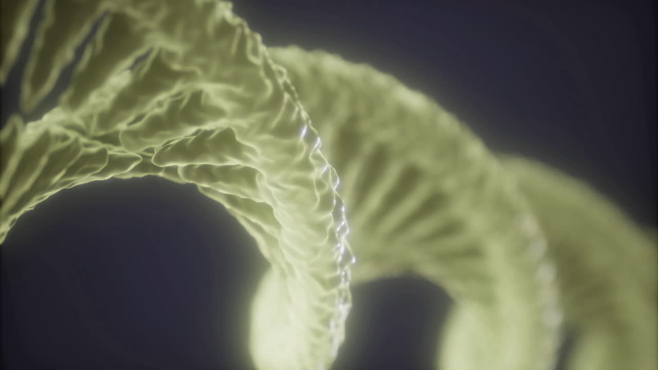 Exploring dnas structure reveals the beauty of genetics