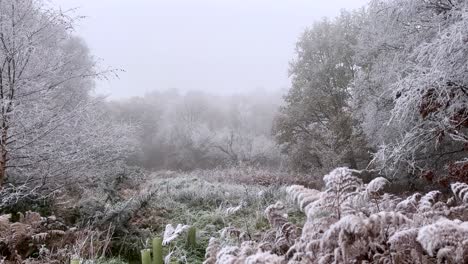 Panorámica-A-La-Izquierda-A-Través-De-La-Escarcha-Matinal-Y-La-Nieve-En-Un-Hermoso-Paisaje