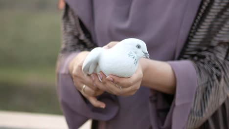 woman holding a white pigeon