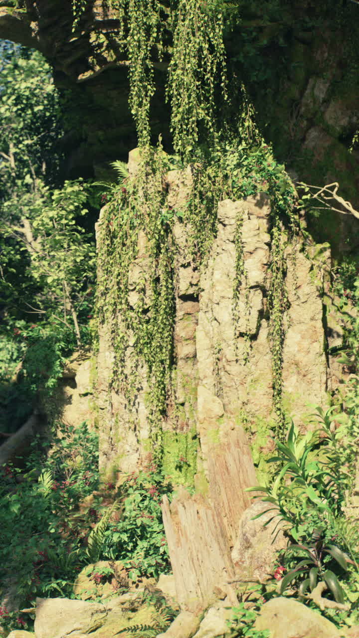 울창 한 정글 에 있는 초록색 의 폐허