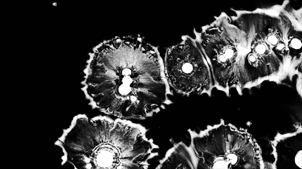Abstract Black and White Ink Spreading and Forming Organic Patterns
