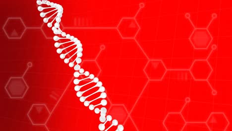 DNA-Struktur-Dreht-Sich-über-Molekulare-Und-Chemische-Strukturen,-Die-Vor-Rotem-Hintergrund-Schweben