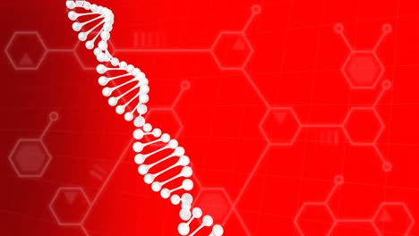 dna 구조가 분자 및 화학 구조 위에 회전하여  ⁇ 은 바탕에 떠다니고 있습니다.