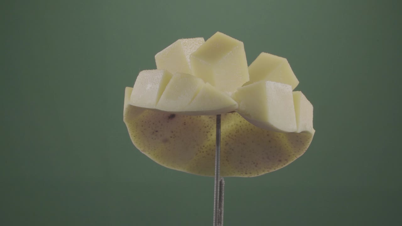 mango girando con bucle en pantalla verde para la llave de croma