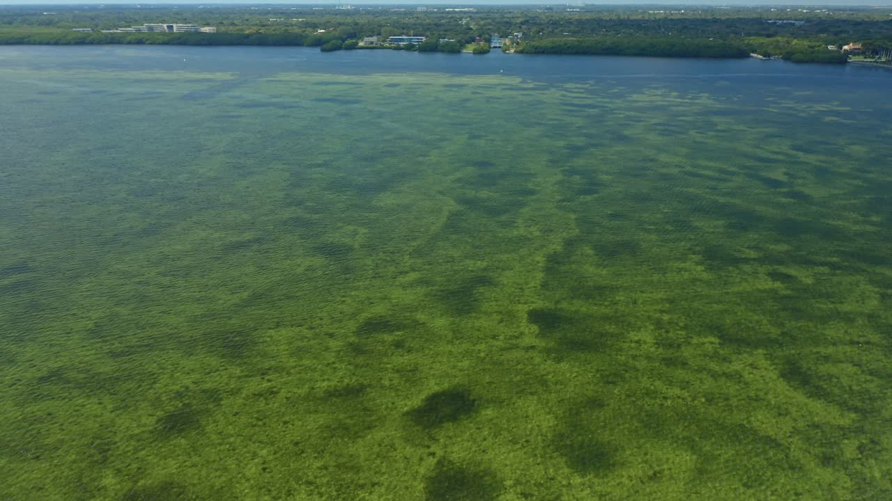 Questo filmato mostra acque costiere poco profonde con una chiara visibilità della vegetazione e delle alghe sottomarine. La costa è ricoperta da una fitta vegetazione, offrendo una vista naturale dell'ecosistema costiero.