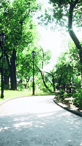 park path in summer sunlight