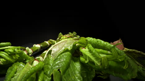 macro slider shot over some vegetables. macro shot