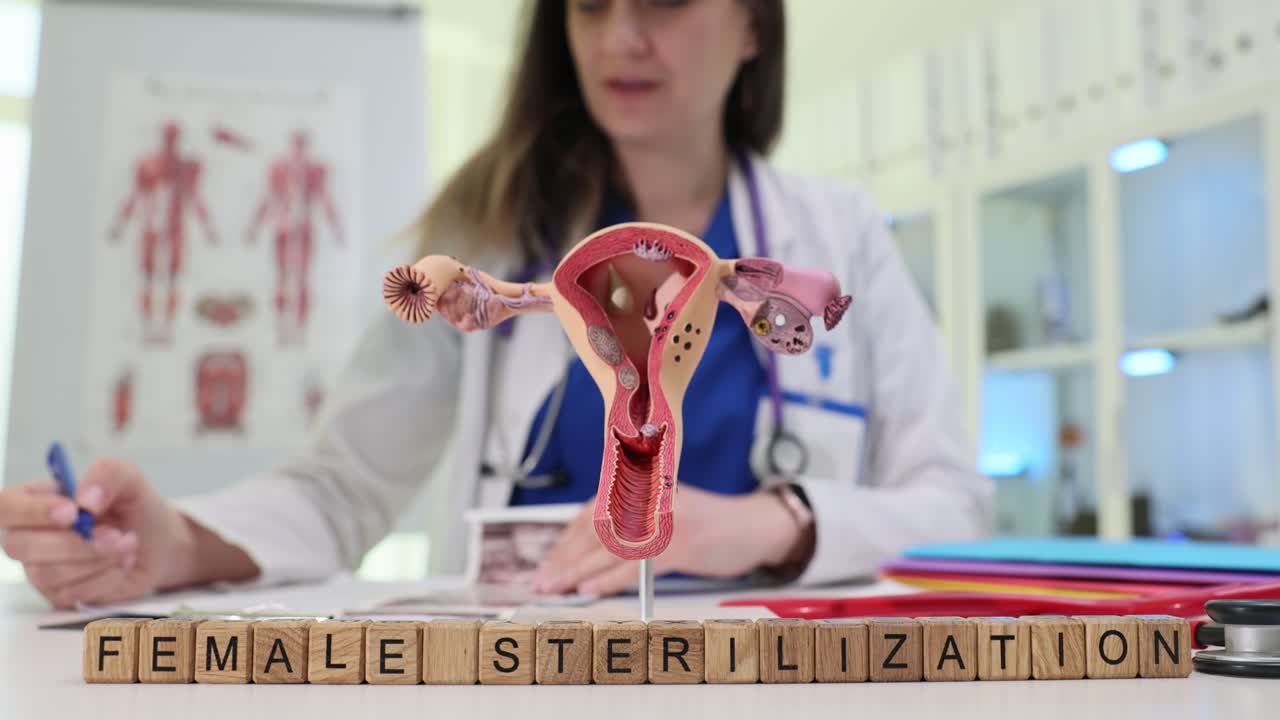 Testo "sterilizzazione femminile" su blocchi e modello anatomico di utero