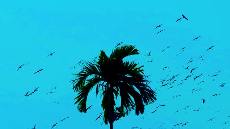 tropical migratory birds flying against blue sky background above palm tree