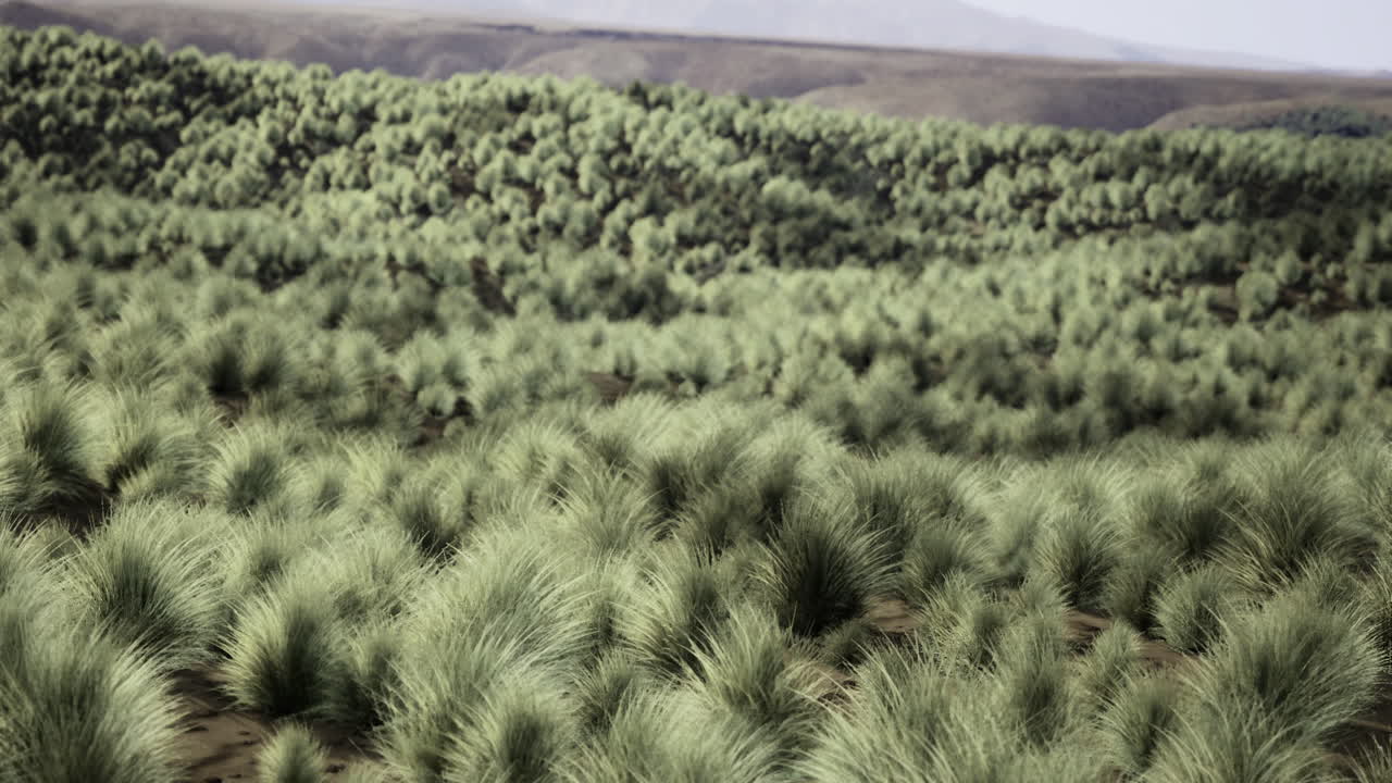 Lush green landscape of grasslands under a clear sky in a serene setting
