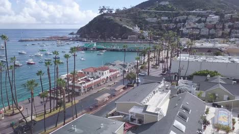 flying over harbour in catalina island