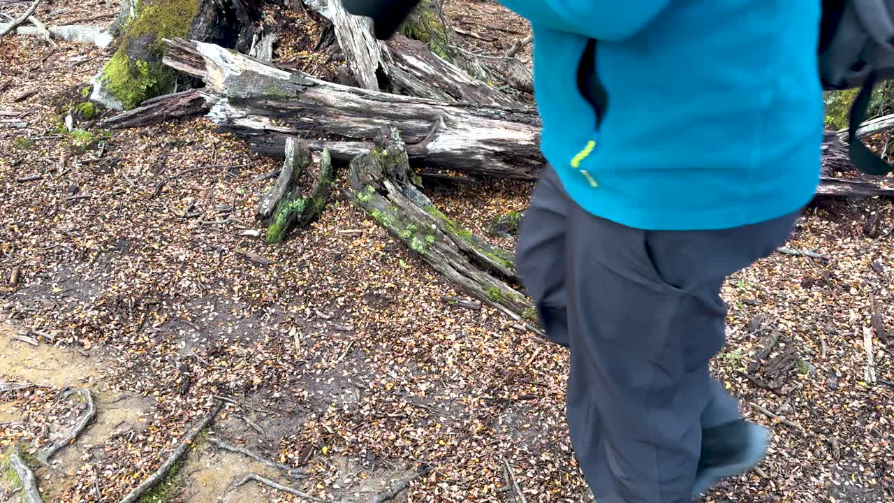 A person in outdoor gear walks along a forest trail in Queenstown, New Zealand. Natural lighting highlights the earthy surroundings