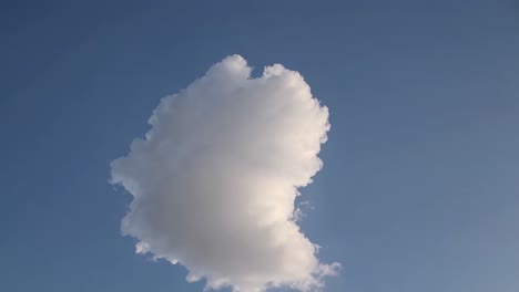 fluffy cumulus cloud in blue sky