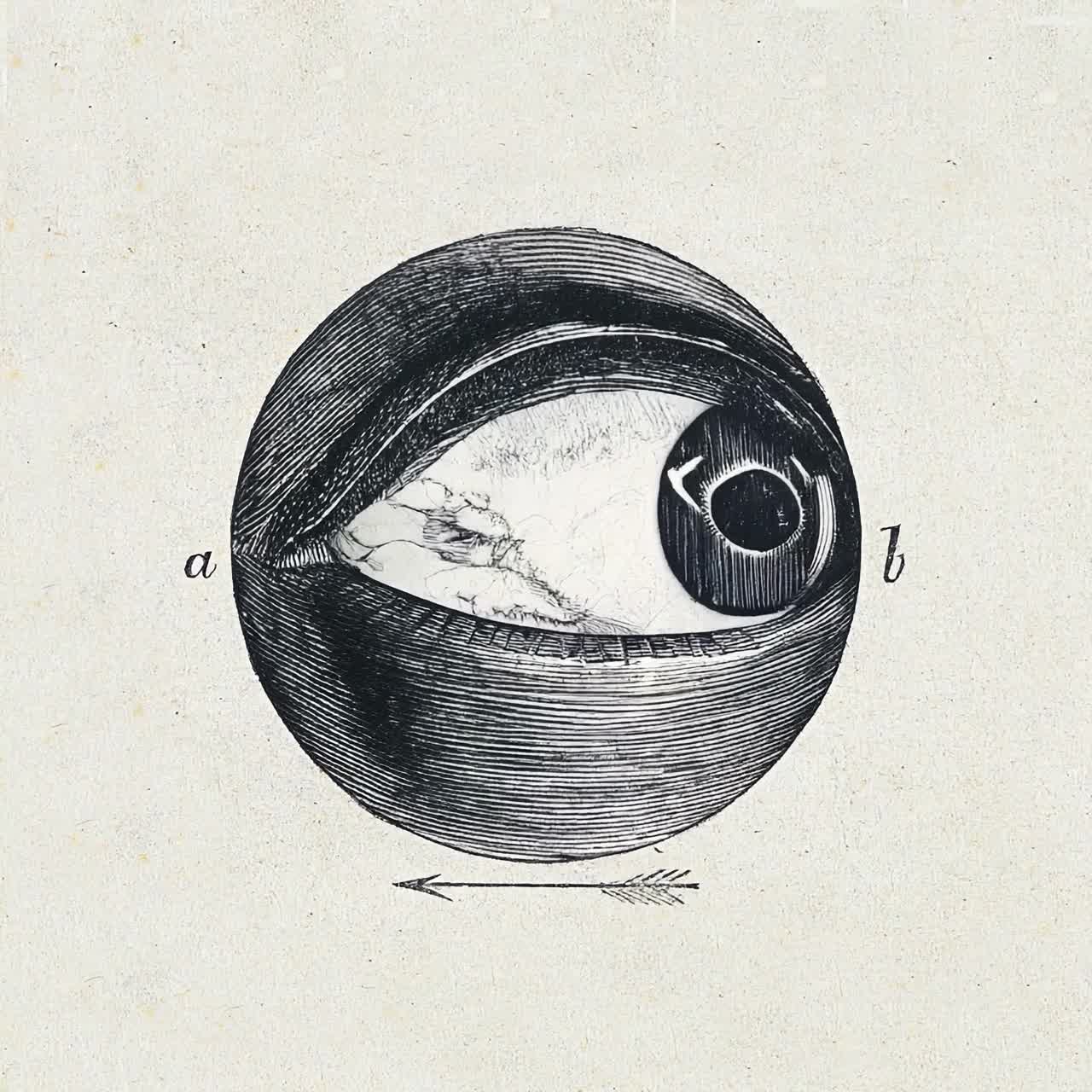 Detalj fra Menselijk oog met een afwijking (1836–1912) av Isaac Weissenbruch, gjort levende
