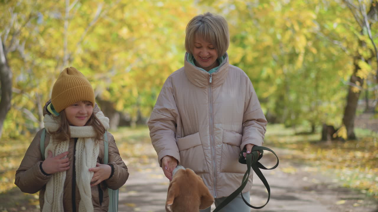 Woman feeds dog off screen while child stands smiling warmly, holding beanie during peaceful walk through sunlit autumn forest path lined with golden leaves