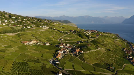 vista panorámica de la ciudad de aran, sobre el lago de ginebra, vaud, suiza - órbita aérea
