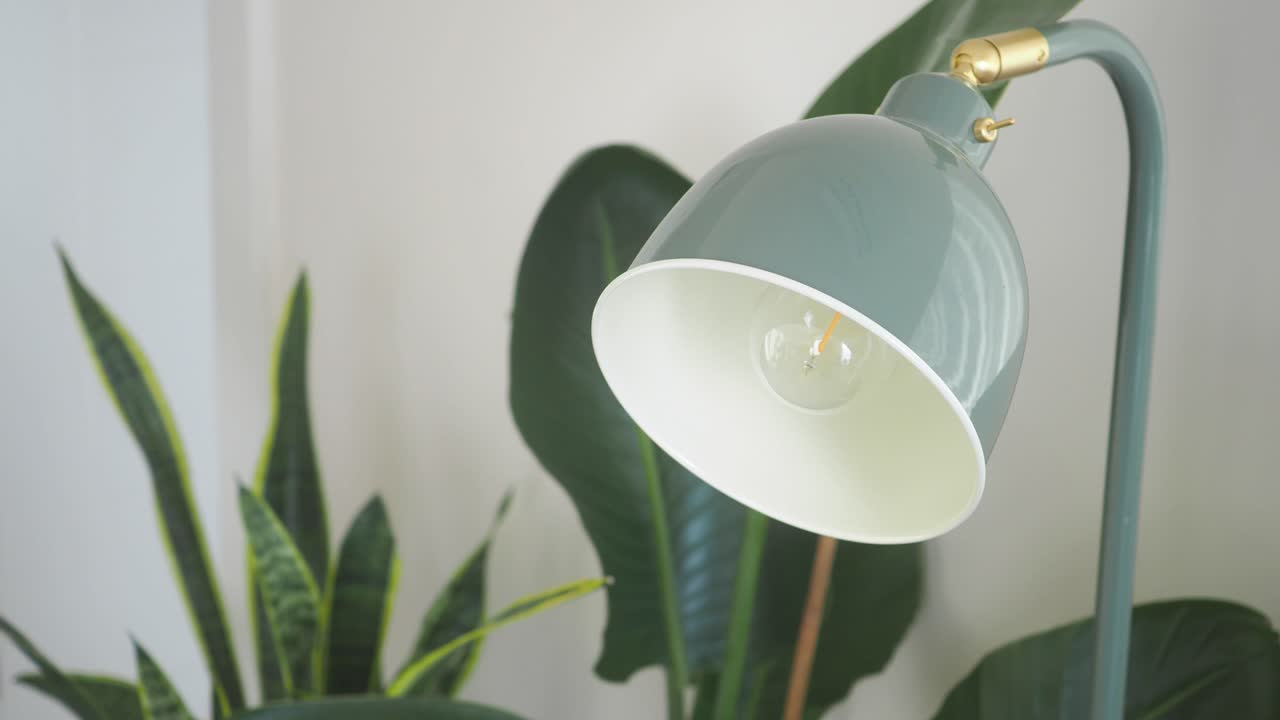 A table lamp next to a plant