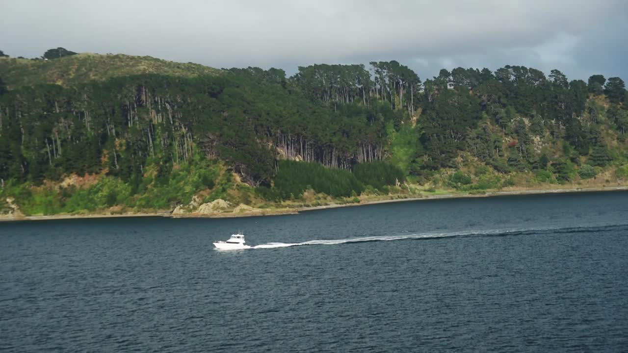 White yacht driving through bay with forests and hills in the backgground. View from the ferry driving through the malborough sound of New Zealand, South Island