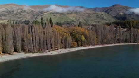 árbol wanaka solitario lugar pintoresco durante el otoño a orillas del lago
