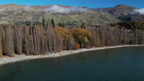 lonely wanaka tree picturesque spot during autumn on lakeside