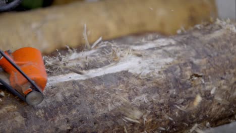 close shot shot of trunk preparation for artisan work