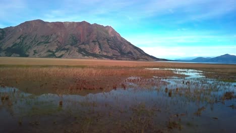 Beautiful-summer-backward-flight-above-shallow-Kluane-lake-with-grass-vegetation-in-reflective-water-and-scenic-view-of-Sheep-mountain-range-on-bright-blue-sunny-sky-day,-Canada,-overhead-aerial