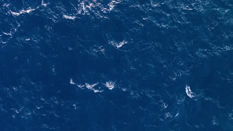 drone vista zenital de las olas del océano de la capa blanca lentamente construyendo y desvaneciendo en el agua