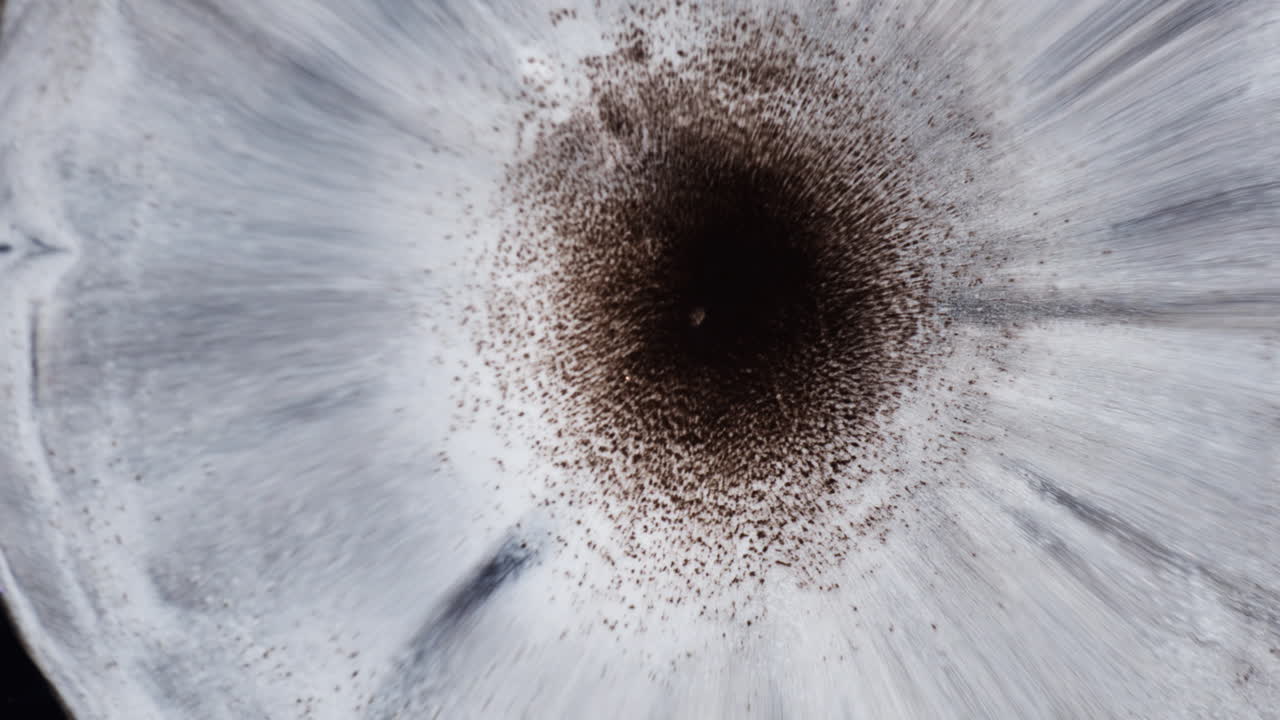 Abstract Fluid Background Of Moving Black And White Ink