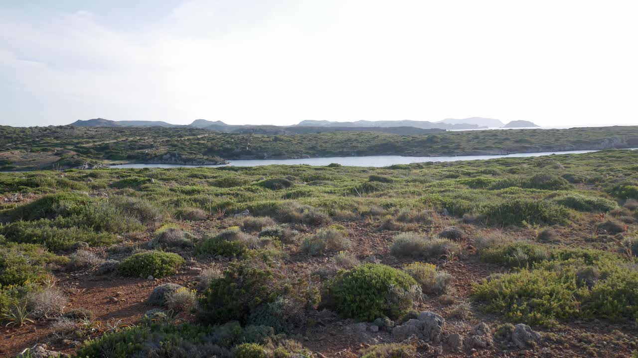 Coastal landscape with green shrubs, a calm bay, and distant mountains in warm light