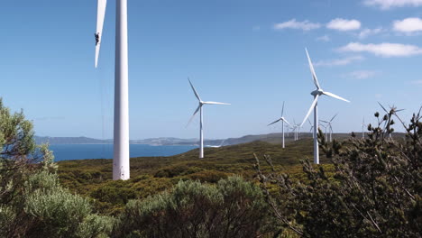 tracking left revealing a wind farm along the coasts of western australia