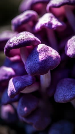 vibrant purple mushroom cluster in nature