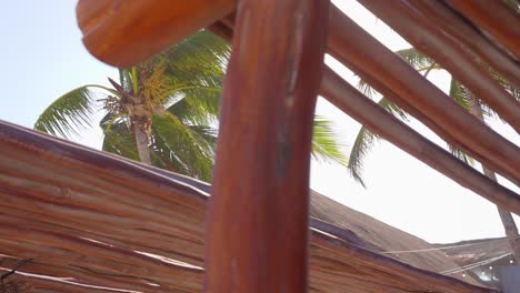 lens flare shining through wooden beach canopy with green coconut palm tree leaves blowing in the wind in the background. slow motion zoom shot.