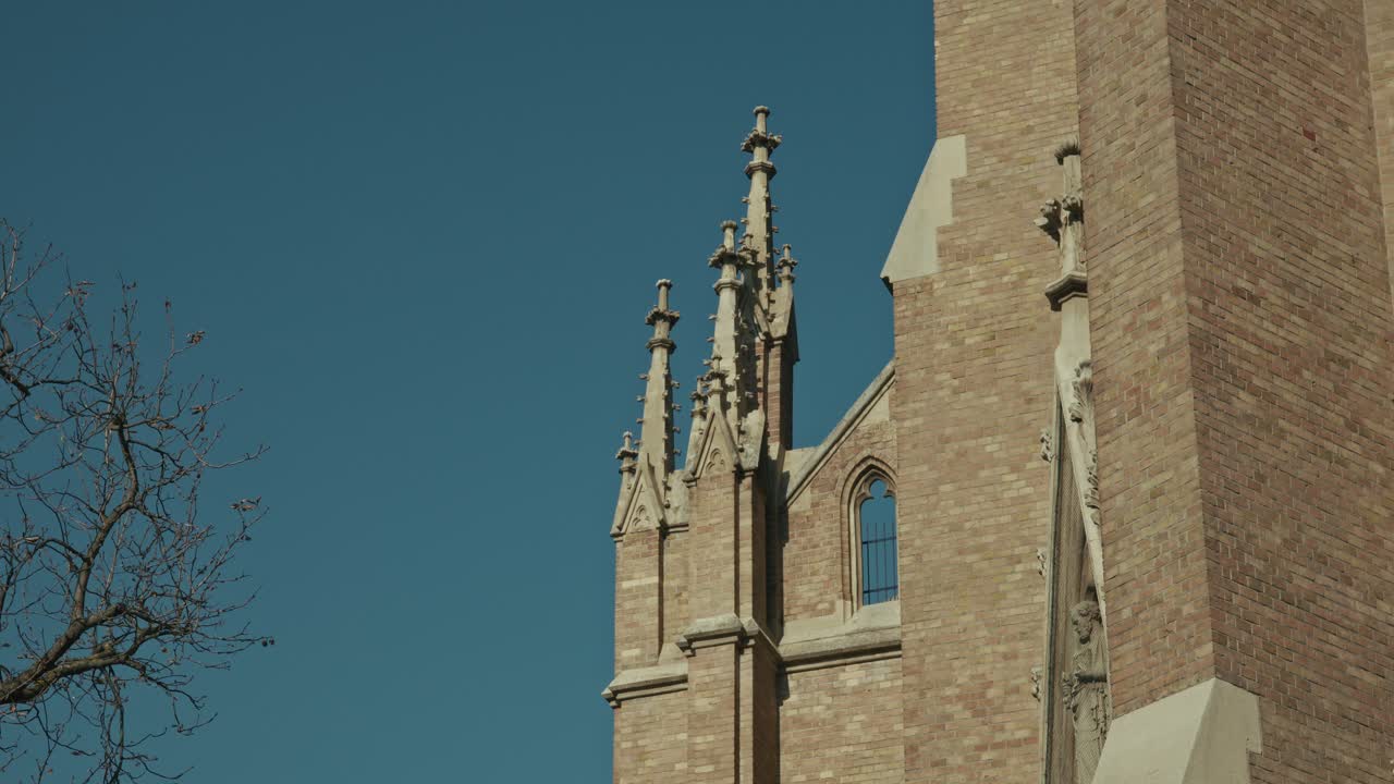 은 파란 하늘을 배경으로 고 교회 첨탑의 근접, 프레임에 벌거벗은 가지