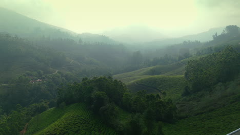 Panorámica-Hermosa-Plantación-De-Té-Brumoso-Plantaciones-De-Té-De-Clase-Mundial-En-Las-Colinas-De-Munnar,-Kerala,-India