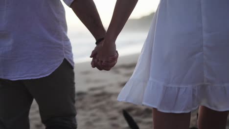 Slow-motion-dolly-shot-of-a-couple-in-love-walking-along-the-beach-with-their-dog-holding-hands-during-a-beautiful-romantic-sunset