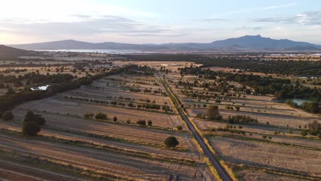 Land-or-landscape-of-green-field-in-aerial-view