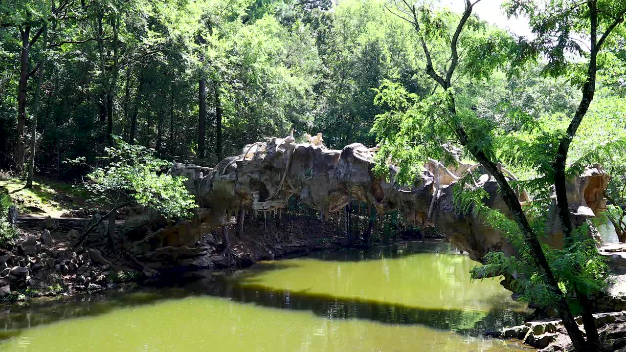 Static video of an odd looking bridge in the Old Mill at Little Rock, Arkansas