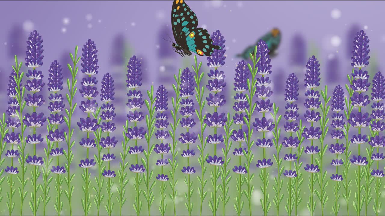Butterflies flutter gracefully over vibrant lavender fields, set against a soft purple background with gentle light effects