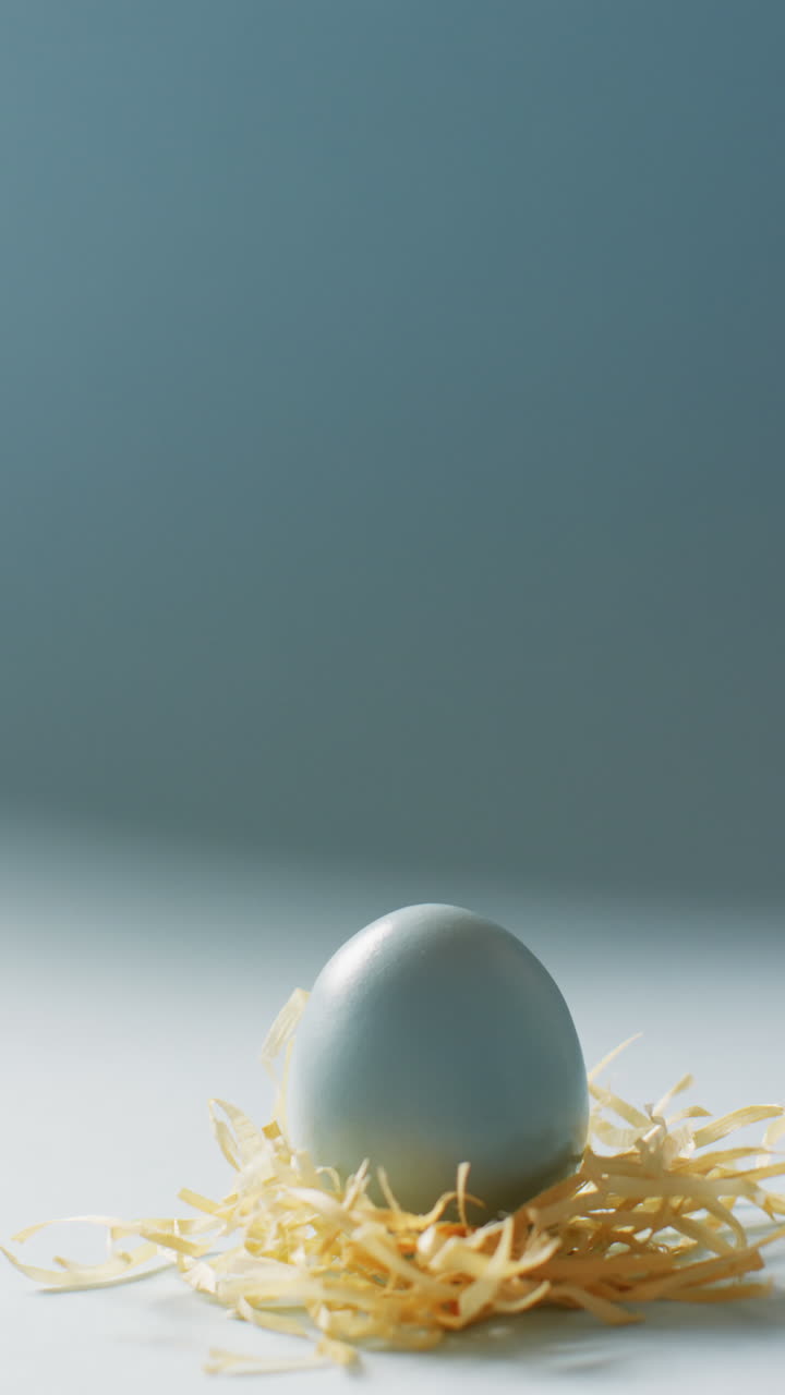 Vertical video of blue easter egg with hay on blue background with copy space