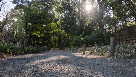 a peaceful stroll down a gravel path in a park