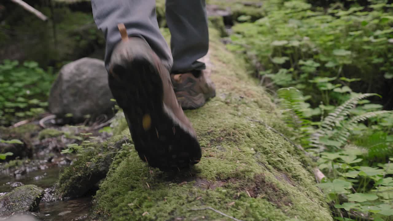 Shoes hiking outdoors taking steps on top of tree log over stream in lush forest adventure travel in the Pacific Northwest from behind