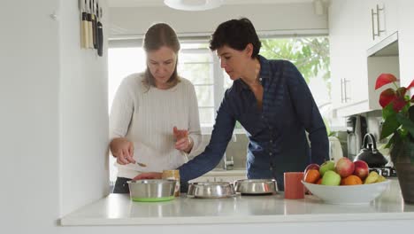pareja de lesbianas caucásicas preparando comida para sus perros en casa