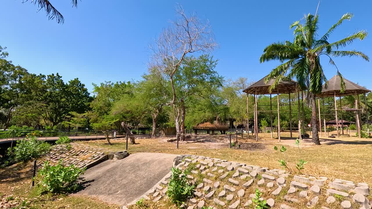 A serene, sunlit view of Khao Kheow Zoo's open landscape with palm trees and clear blue skies