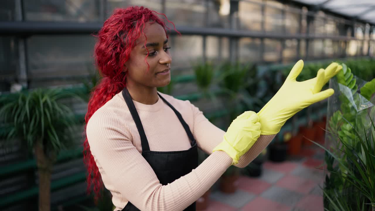 Mulher em estufa organizando coleção de suculentas, repondo o expositor com novas plantas.