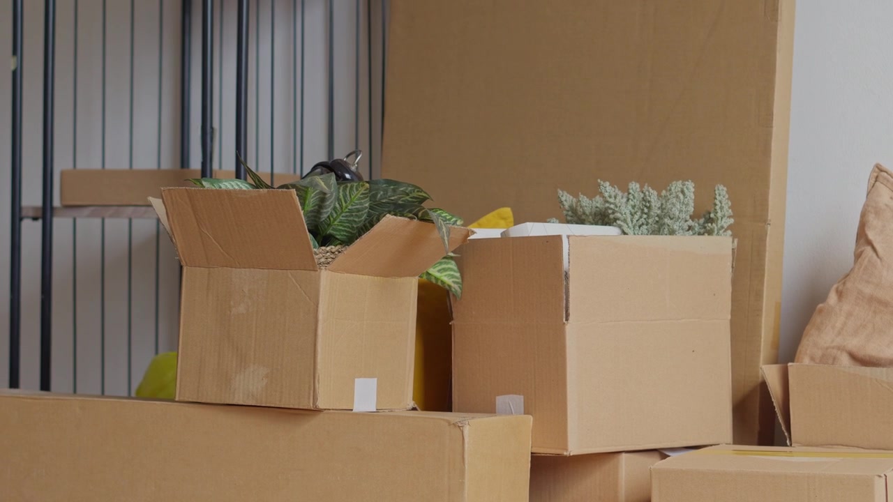 Stacked open boxes filled with household items, plants, and decor during process of moving