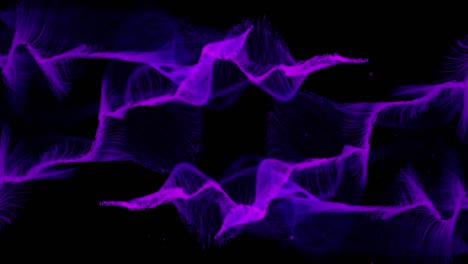 Purple-trails-waving-on-black-background-and-rollback