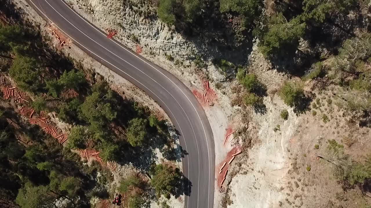 aéreo de arriba hacia abajo en el bosque